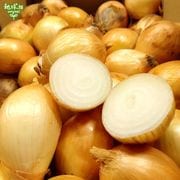 ޤͤ S 4kg (1100g̤) ̤ͤ Ǭ ȯ46