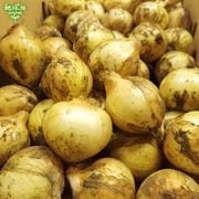 ���ޤͤ� S 4kg (1��100g̤��) �̤ͤ� ��Ǭ ȯ������4��6��