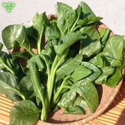 ĥ饵 200g8p ¢ ȯ610
