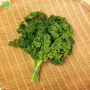 �ѥ��� 40g ��¢�� ȯ������12���4��