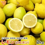 (ꥹܥ) 2kg ̺ ȯ101