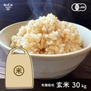 3/19ȯ�� ͭ������ 30kg ����7ǯ�� ������ ���� �ܺ� �������� �ҥΥҥ��� ���ޤ���ε��� 2025ǯ�� ̤������ �ޤȤ��㤤������̵����