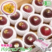 ��ͽ���ò���No.9-1 ͭ���ѥå����ե롼�� 1.2kg 7��ܡ�8�����ȯ���ڿ��̸����