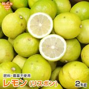 ����(�ꥹ�ܥ�) 2kg �����������Ի��� ȯ������10���1��