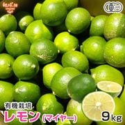 ����(�ޥ��䡼) 9kg ͭ������ ȯ������10���1��