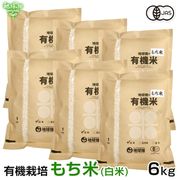 4/23ȯ�� ͭ�������(����) 6kg ���� ������� ����