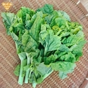 �ڲ�(�ʤФ�) 150g��30p �ڤβ� ��¢�� ȯ������1���3��