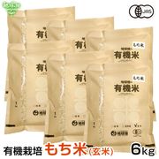4/23ȯ�� ͭ�������(����) 6kg ���� �������