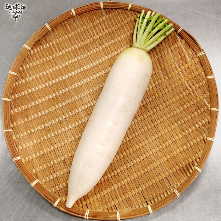 柚大根サイズ1 かんたん柚子大根 | CAINZ DIY Square