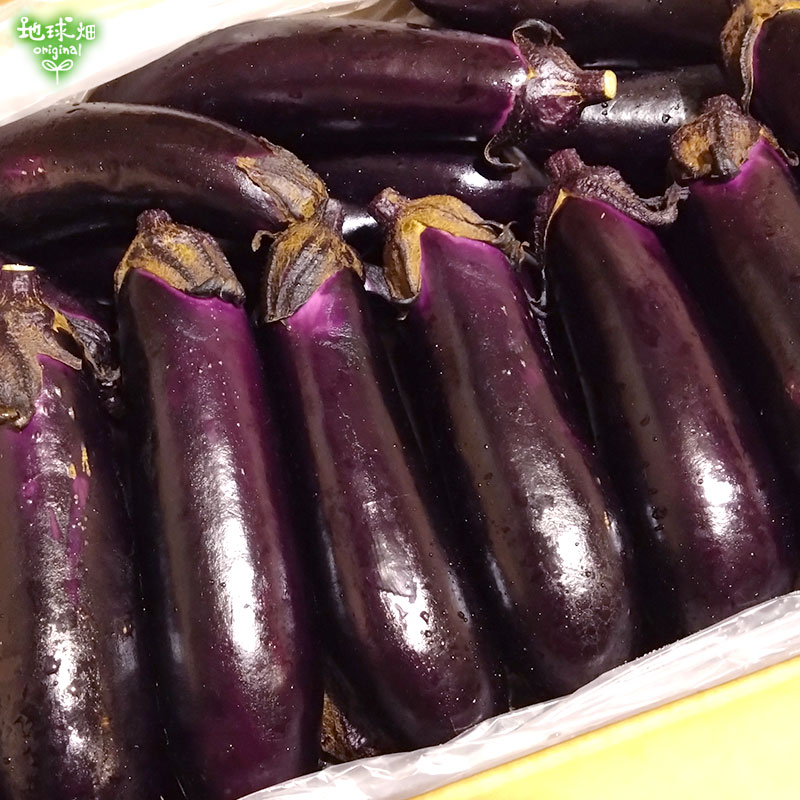 なす 5kg(35～42本) 冷蔵便 発送期間6月～9月 | 箱売り野菜 | 地球畑