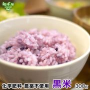�Ĥ�鷺�� ���� 300g ���������������Ի���