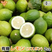����(�ꥹ�ܥ�) 2kg ͭ������ ȯ������10���1��