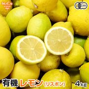 ����(�ꥹ�ܥ�) 4kg ͭ������ ȯ������10���1��