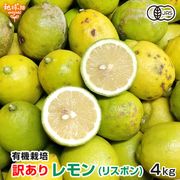 ������ ����(�ꥹ�ܥ�) 4kg ͭ������ ȯ������10������1��