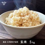 2/19ȯ�� ���� 5kg ���������������Ի��� ����7ǯ�� ������ ���� �ܺ� �������� �ҥΥҥ��� ���ޤ���ε��� 2025ǯ�� ̤������