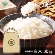 3/19ȯ�� ͭ������ 30kg ����7ǯ�� ������ ���� �ܺ� �������� �ҥΥҥ��� ���ޤ���ε��� 2025ǯ�� ̤������ �ޤȤ��㤤������̵����