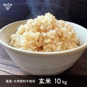 2/12ȯ�� ���� 10kg ���������������Ի��� ����7ǯ�� ������ ���� �ܺ� �������� �ҥΥҥ��� ���ޤ���ε��� 2025ǯ�� ̤������