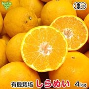 ���β�(����̤�) 4kg ͭ������ ȯ������1��ܡ�3��