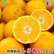 ���β�(����̤�) 12kg ͭ������ ȯ������1��ܡ�3��