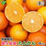���󤫤� 4kg ͭ������ ���󥫥� ȯ������2��ܡ�3����