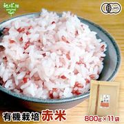 ͭ���Τ���(����) 800g��11p ��8.8kg