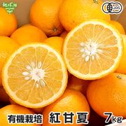 �ȴŲ� 7kg ͭ������ ȯ������2���4��