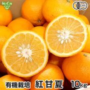 �ȴŲ� 10kg ͭ������ ȯ������2���4��