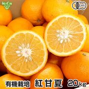 �ȴŲ� 20kg ͭ������ ȯ������2���4��