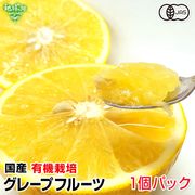 ���졼�ץե롼�� ���1�ĥѥå� ͭ������ ȯ������4��5��
