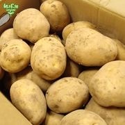 ���㤬���� 2L������ 9kg (1��300g�ʾ�) ȯ������4��6��