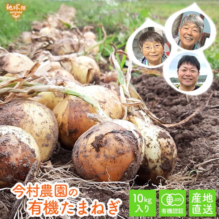 完売ありがとうございました 今村農園の有機たまねぎ 10kg 発送期間5月