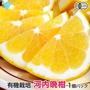 �����մ��ʤ�����Ф󤫤�� ���1�ĥѥå� ͭ������ ͭ��JAS ȯ������4���6��