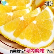 �����մ��ʤ�����Ф󤫤�� 7kg ͭ������ ͭ��JAS ȯ������4���6��