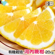 �����մ��ʤ�����Ф󤫤�� 20kg ͭ������ ͭ��JAS ȯ������4���6��