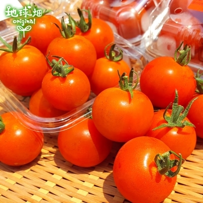 �ߥ˥ȥޥ� 150g��6p ��¢�� ȯ������6���7��