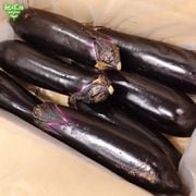�ʤ� 1kg(6��8��) ��¢�� ȯ������6���9��