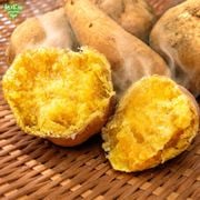 10����ȯ�� ��Ǽ���� ML (1��100��500g) 4kg 2026ǯ��