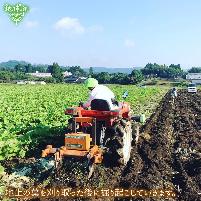 ���ܤ� 10kg ȯ������6���