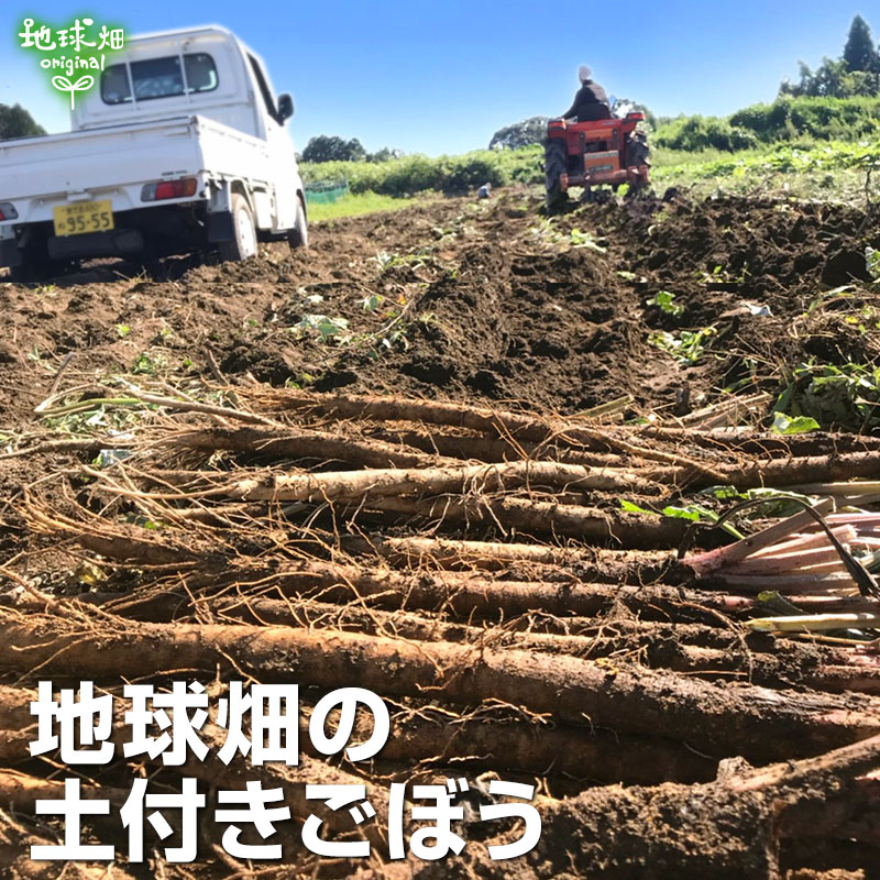 ���ܤ� 10kg ȯ������6���