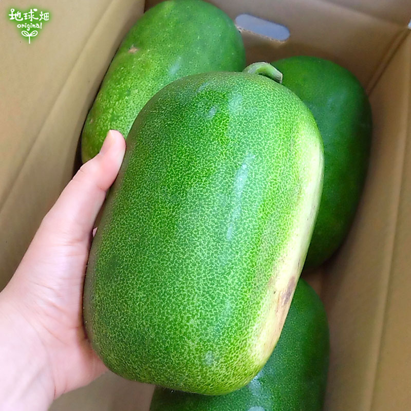 ɱ�Ȥ����� 4�� (1��1��2kg) �߱� ȯ������8��ܡ�11��