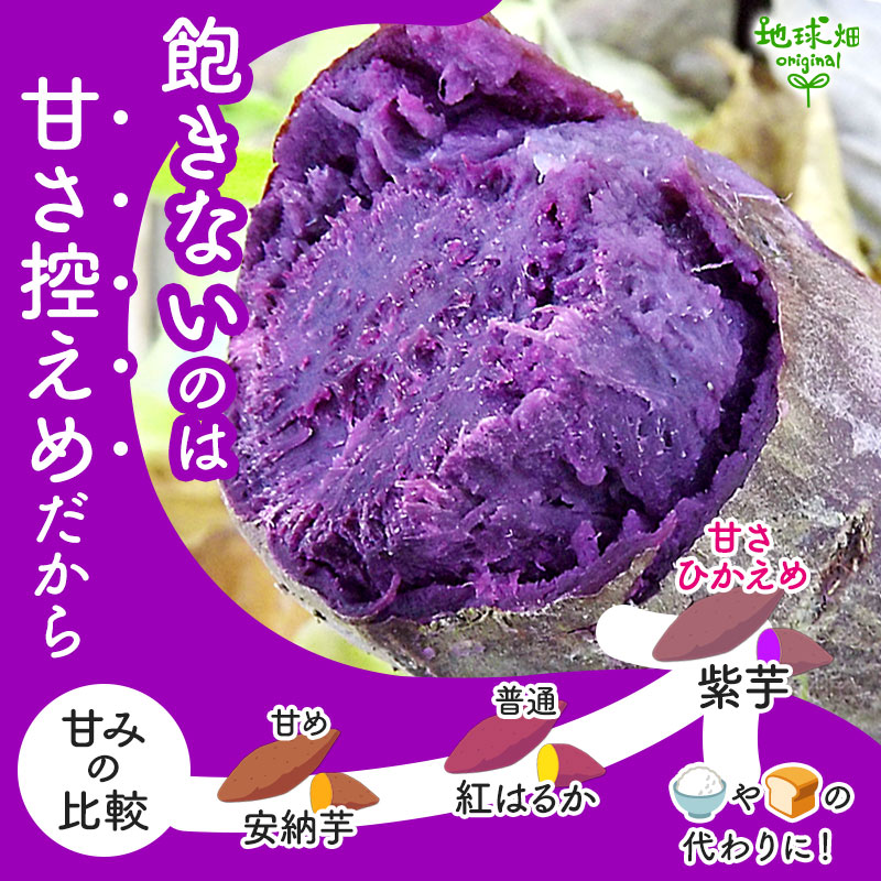 ��� ML (1��100��500g) 2kg 2026ǯ�� ȯ������9���11��