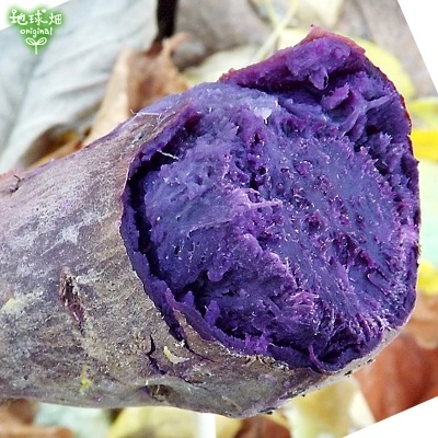 ��� ML (1��100��500g) 2kg ȯ������8��ܡ�12��