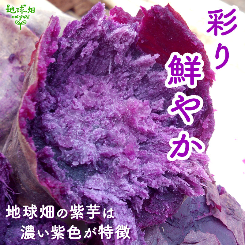 ��� ML (1��100��500g) 4kg 2026ǯ�� ȯ������9���11��