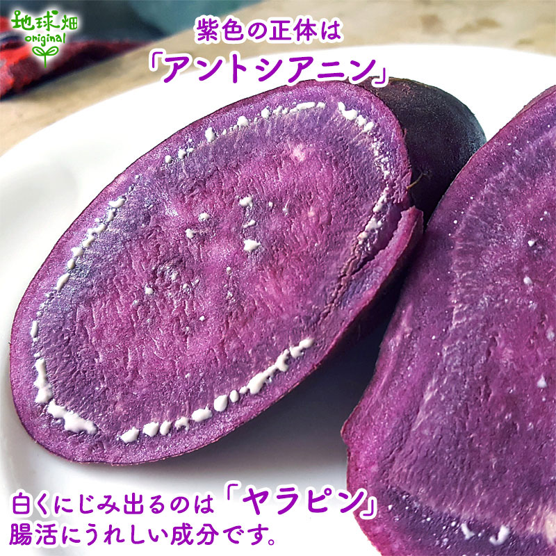 ��� ML (1��100��500g) 4kg 2026ǯ�� ȯ������9���11��