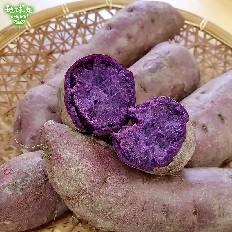 ��� ML (1��100��500g) 4kg 2026ǯ�� ȯ������9���11��