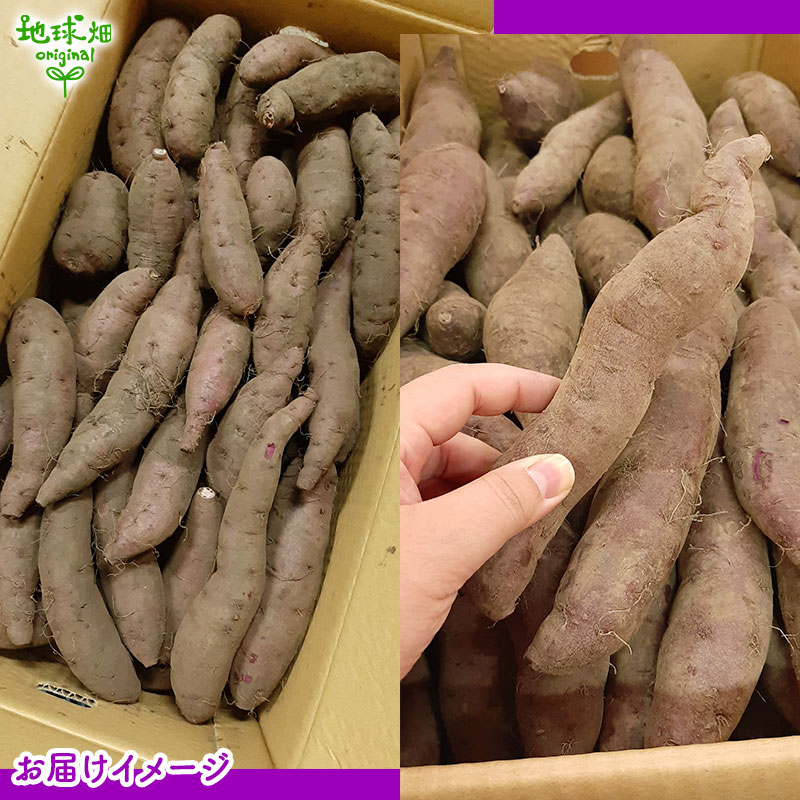 ��� ML (1��100��500g) 4kg 2026ǯ�� ȯ������9���11��