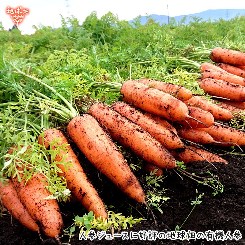 ͭ���ˤ󤸤�ڡ����� 1kg ������