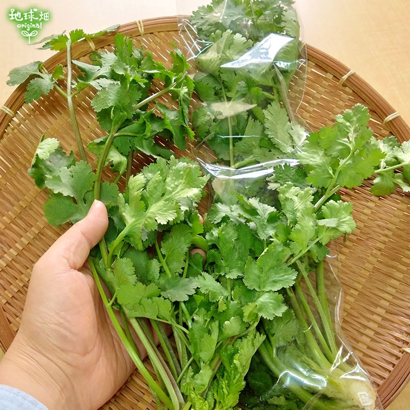 �ѥ������ʥ��ꥢ�������50g ��¢�� ȯ������11���ܡ�����