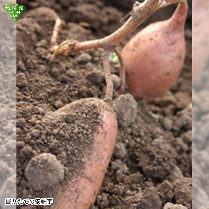���䤢�꤬�Ȥ��������ޤ��� ���Ƥ����ͭ����Ǽ�� ML������ 5kg �ڻ���ľ��������̵�� �������ϰ����������� ��ľ