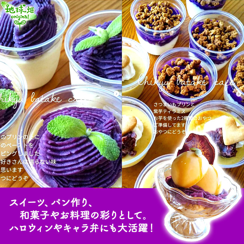 ��� ML (1��100��500g) 9kg 2026ǯ�� ȯ������9���11��